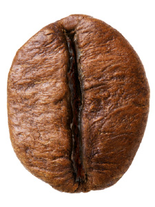 Robusta